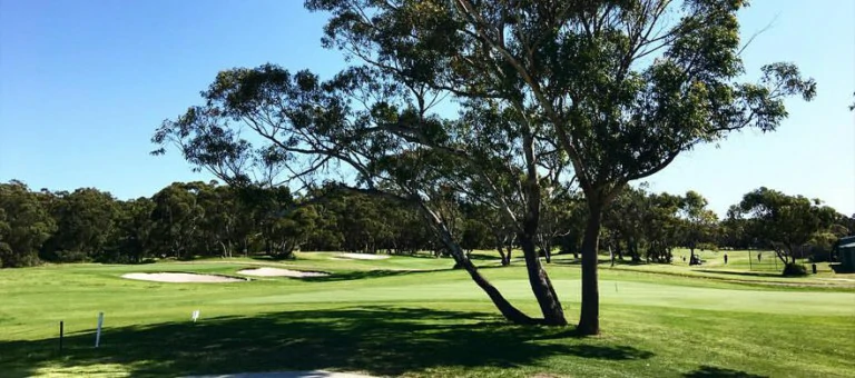 Hawkes Nest