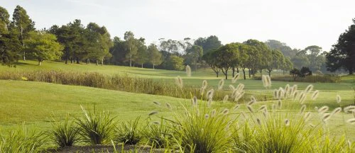 Bermagui 7th hole trimmed
