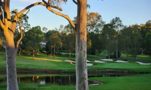 17th at Vintage landscape