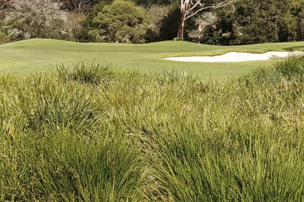 Pambula -Merimbula Golf Club