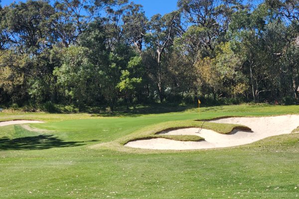 Shoalhaven Heads 4th Green